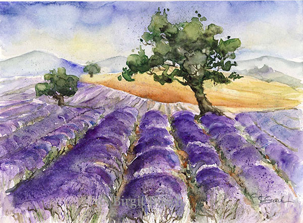 aquarell provence