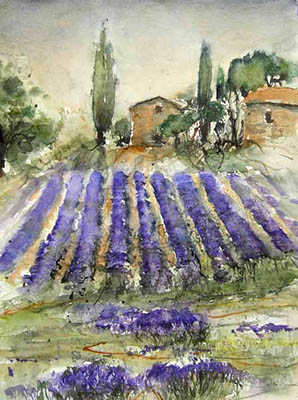 fields of lavendel in provence of artist Birgit Busch